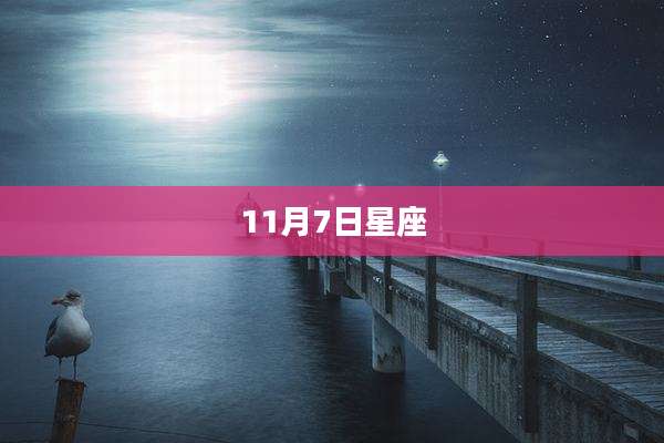 11月7日星座
