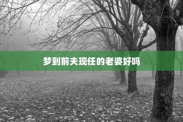 梦到前夫现任的老婆好吗