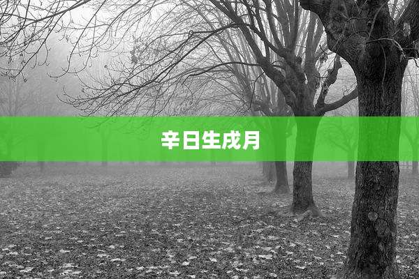 辛日生戌月