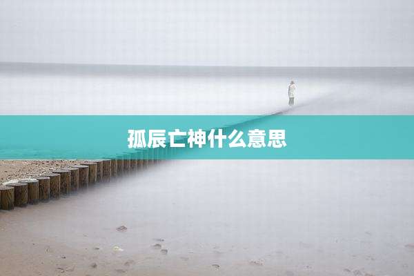 孤辰亡神什么意思