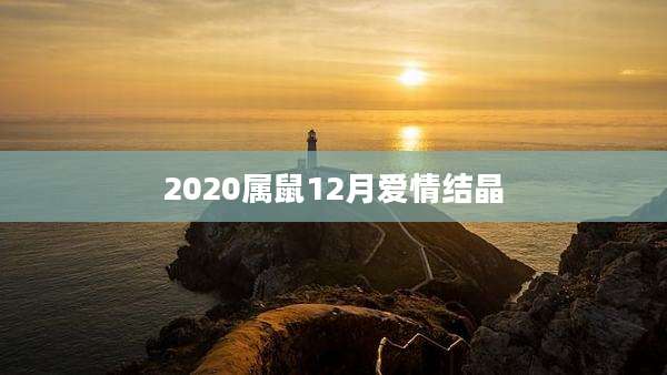 2020属鼠12月爱情结晶