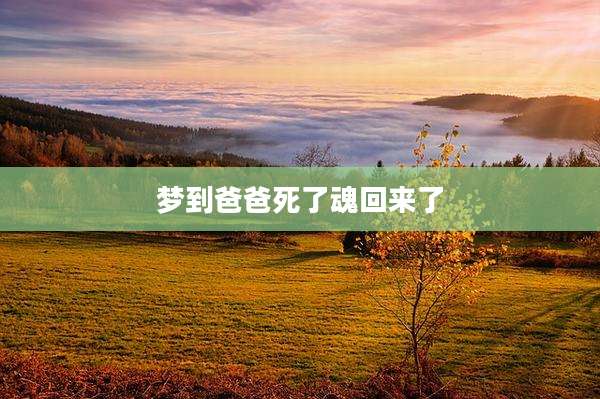 梦到爸爸死了魂回来了