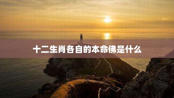 十二生肖各自的本命佛是什么