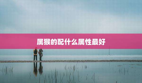 属猴的配什么属性最好