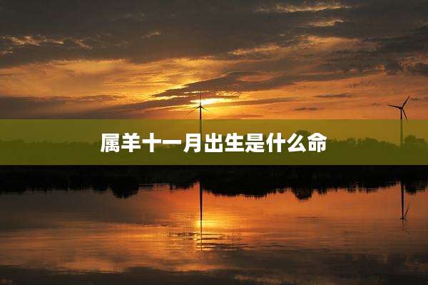 属羊十一月出生是什么命