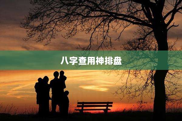 八字查用神排盘