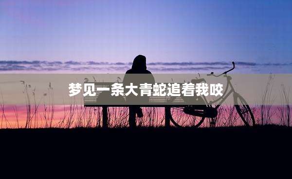梦见一条大青蛇追着我咬