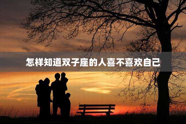怎样知道双子座的人喜不喜欢自己