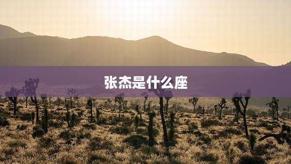 张杰是什么座