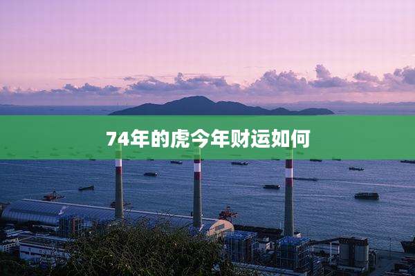 74年的虎今年财运如何