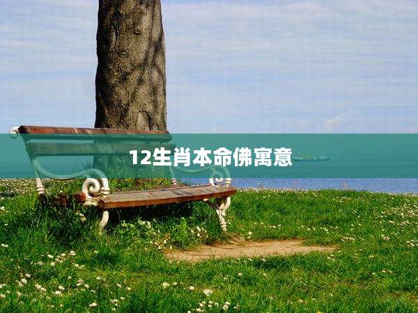 12生肖本命佛寓意