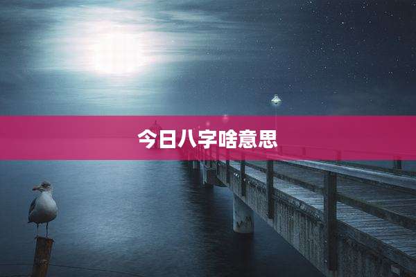 今日八字啥意思