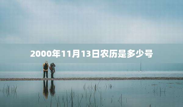 2000年11月13日农历是多少号