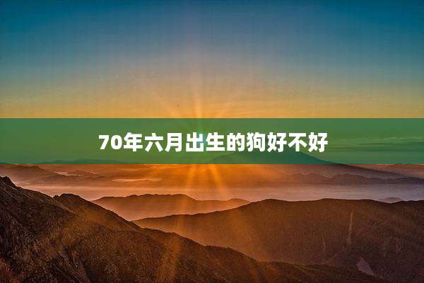 70年六月出生的狗好不好