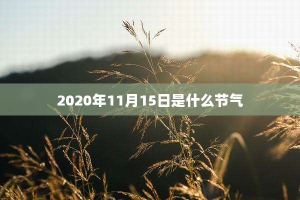 2020年11月15日是什么节气
