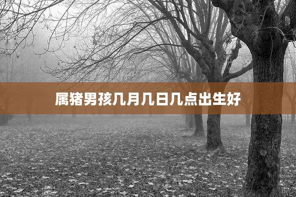 属猪男孩几月几日几点出生好