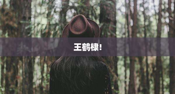 王鹤棣!