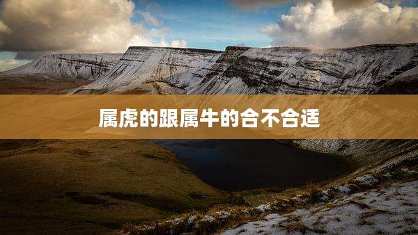 属虎的跟属牛的合不合适