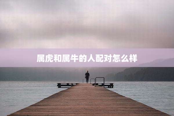 属虎和属牛的人配对怎么样