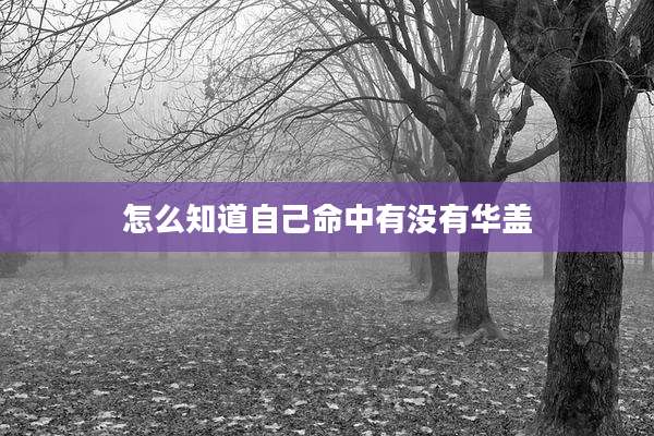 怎么知道自己命中有没有华盖