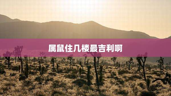 属鼠住几楼最吉利啊