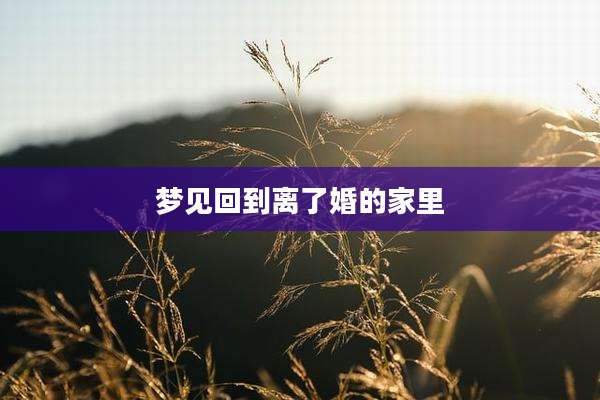 梦见回到离了婚的家里