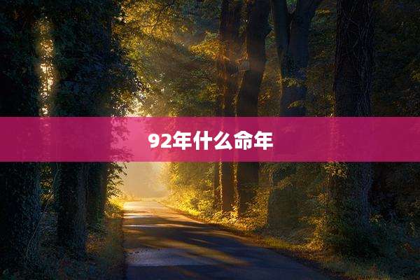 92年什么命年