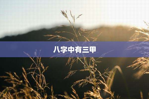 八字中有三甲