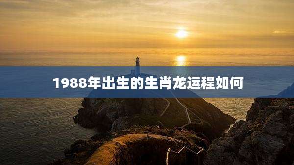 1988年出生的生肖龙运程如何