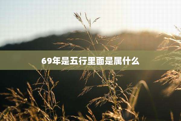 69年是五行里面是属什么