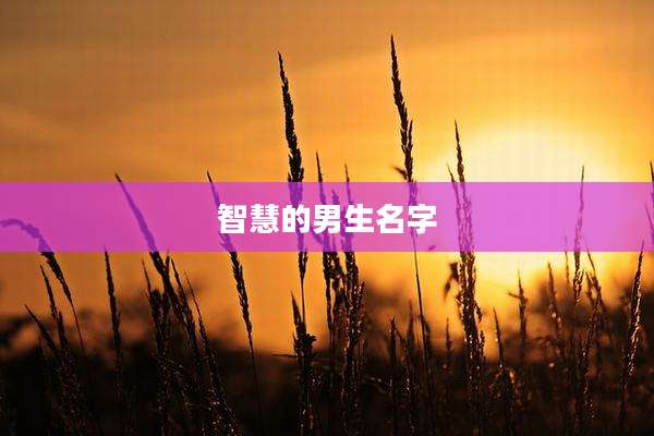 智慧的男生名字