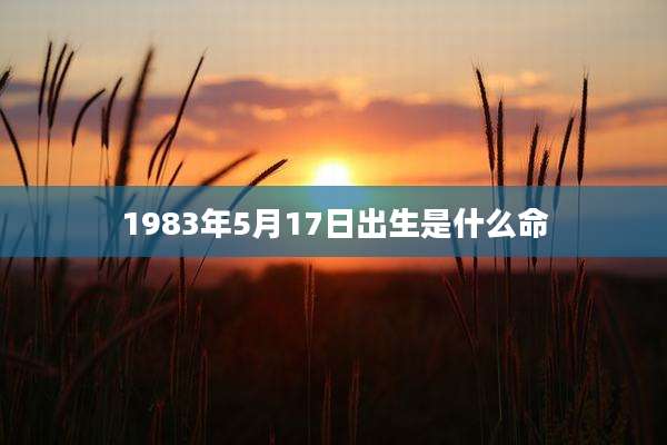 1983年5月17日出生是什么命