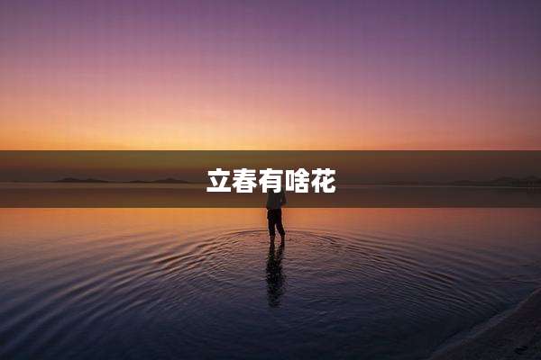 立春有啥花