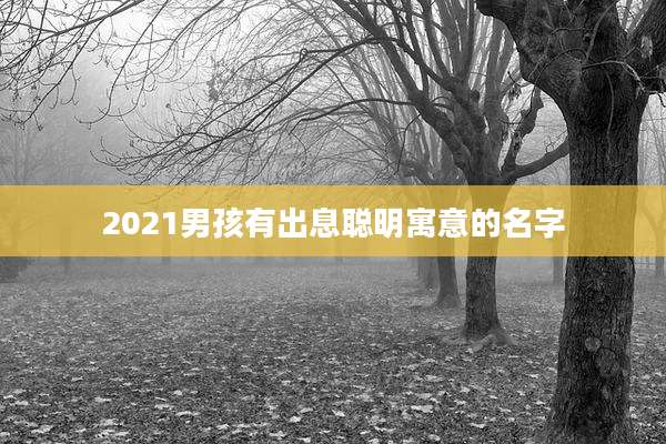 2021男孩有出息聪明寓意的名字