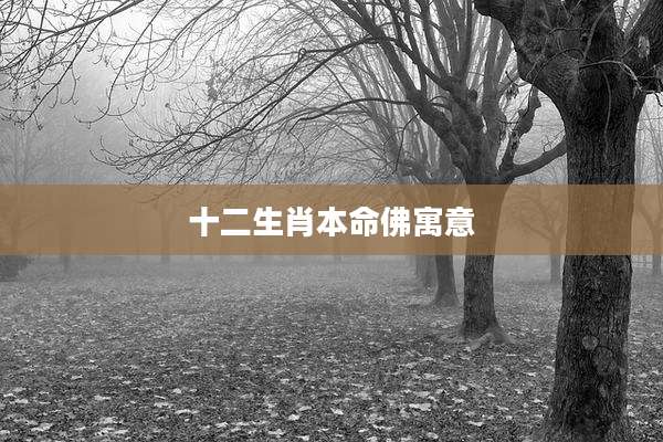 十二生肖本命佛寓意