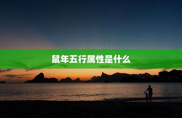 鼠年五行属性是什么