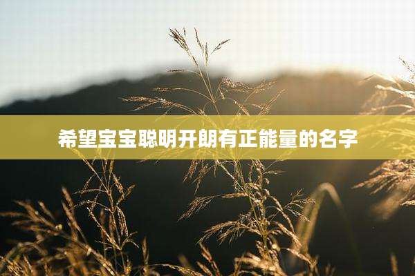 希望宝宝聪明开朗有正能量的名字