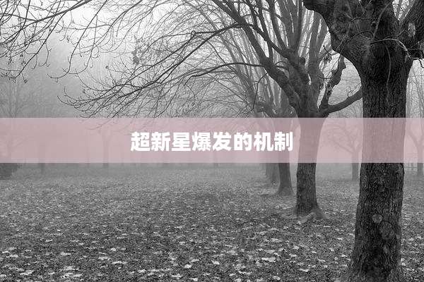 超新星爆发的机制