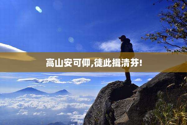 高山安可仰,徒此揖清芬!