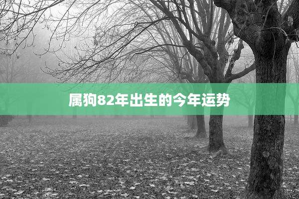 属狗82年出生的今年运势