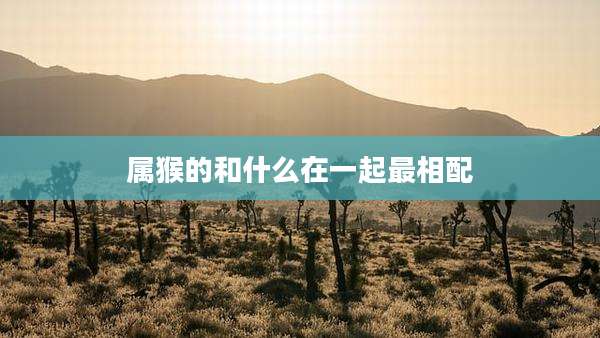 属猴的和什么在一起最相配