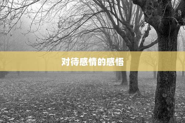 对待感情的感悟