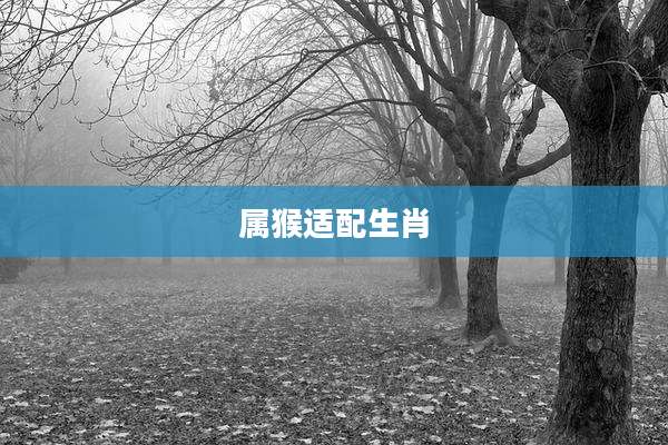属猴适配生肖