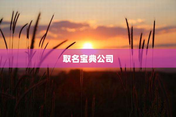 取名宝典公司