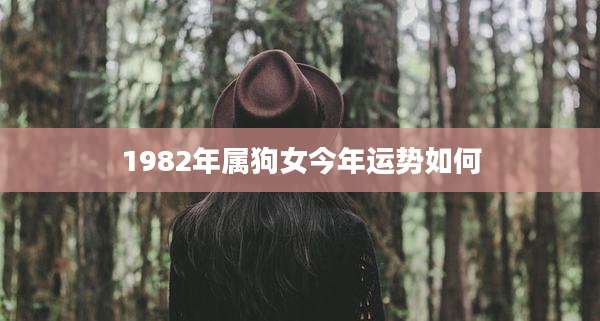 1982年属狗女今年运势如何