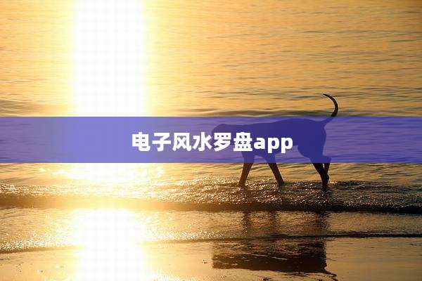 电子风水罗盘app