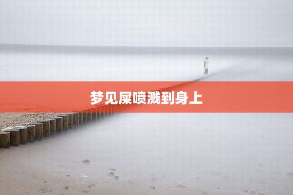 梦见屎喷溅到身上