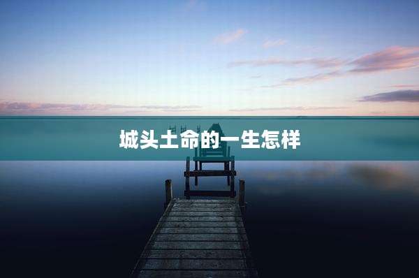 城头土命的一生怎样