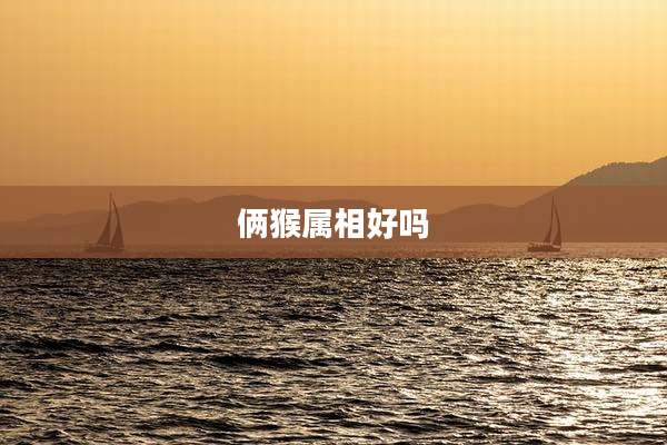 俩猴属相好吗