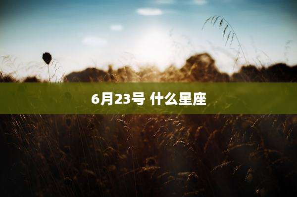 6月23号 什么星座